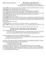 HSG Đô Lương 08-09