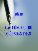 Một số công cụ trợ giúp soạn thảo