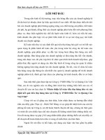 Hoàn thiện kế toán tiêu thụ hàng hóa và xác định kết quả tiêu thụ hàng hóa tại Công ty TNHH Đầu Tư và Quảng Cáo Việt Thái