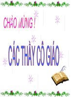 Tốc độ phản ứng hóa học