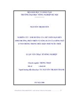 Nghiên cứu ảnh hưởng của mức bón đạm đến sinh trưởng, phát triển và năng suất của giống ngô LVN10 trồng trong điều kiện nhờ nước mưa 