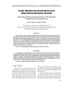 XáC ĐịNH LƯợNG ĐạM Và KALI BóN THíCH HợP CHO LúA Xi23 TRONG Vụ XUÂN TạI HUYệN THạCH Hà, TỉNH Hà TĩNH