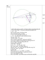 ĐA TS Nam Định(27/6/09)