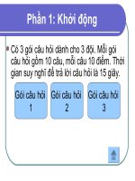 Ngược dòng lịch sử (khởi động)