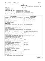 GA LỚP 1 TUẦN 13