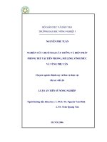 Nghiên cứu chuột hại cây trồng và biện pháp phòng trừ tại tiền phong, mê linh, vĩnh phúc và vùng phụ cận 