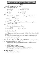 17 de on tap HKII toan 11(2009) CB+NC