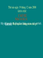 Cao su - Khoa học 5