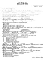 Thi kỳ II. Lý 10Cb