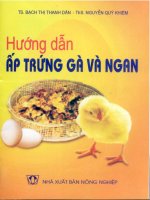 Kĩ thuật ấp trứng gà và ngan 