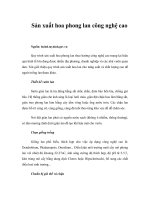 Sản xuất hoa phong lan công nghệ cao 