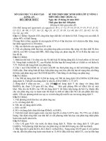 ĐỀ THI CHỌN HỌC SINH GIỎI LỚP 12 VÒNG 1 NĂM 2012 MÔN HÓA HỌC - SỞ GIÁO DỤC VÀ ĐÀO TẠO LONG AN