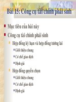 công cụ tài chính phái sinh