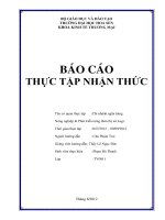 Báo cáo thực tập nhận thức tại chi nhánh NNNN và PTNT thị xã La Gi