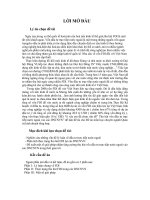 Thu hút vốn đầu tư trực tiếp nước ngoài vào các DNCNVN