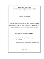 Đánh giá khả năng chịu bệnh đốm gân ớt (chilli veinal mottele virus   chivmv) của tập đoàn ớt(capsicum SPP ) tại khu vực gia lâm   hà nội vụ thu đông   xuân hè năm 2007 2008 