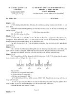 De thi hoa hoc tinh Lam Dong