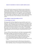 MỘT SỐ VẤN ĐỀ PHÁP LÝ CƠ BẢN CỦA HIẾN CHƯƠNG ASEAN