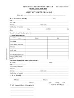 GIẤY CỬ NGƯỜI GIÁM HỘ