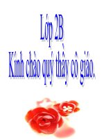 ôn tập cuối năm