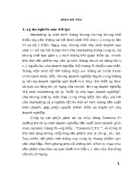 Hoàn thiện chính sách marketing   mix của công ty cổ phần gốm sứ và xây dựng cosevco tại quảng bình 