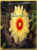 24 ĐIỀU NÊN NHỚ TRONG CUỘC SỐNG