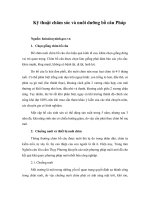 Kỹ thuật chăm sóc và nuôi dưỡng bồ câu pháp 