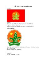 Các biệu trưng của Đội