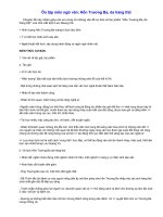 Ôn TN12-Hồn Trương Ba da hàng thịt