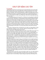 VIRUT gây BỆNH CHO tôm 