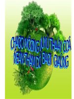 DAC DIEM LOAI HINH TV