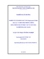 Nghiên cứu sâu róm 4 ngù vàng orgyia postica walker hại lạc và biện pháp bảo vệ thực vật vụ xuân 2011 tại hiệp hòa, bắc giang 