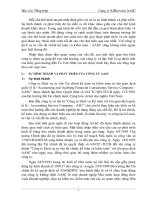 Báo cáo tổng hợp  Công ty Dịch vụ tư vấn Tài chính kế toán và kiểm toán