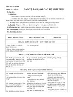 GIÁO ÁN SINH 9 TIẾT 63,64 (TUẦN 33)