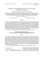 HUMAN MILK OLIGOSACCHARIDES: CHEMICAL STRUCTURE, FUNCTIONS AND ENZYMATIC SYNTHESIS