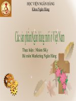 Thuyết trình sản phẩm mới của ngân hàng 