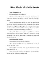 Những điều cần biết về nhím sinh sản 