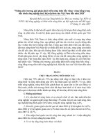 Những chủ trương, giải pháp phát triển nông thôn bền vững   công bằng trong tiến trình công nghiệp hoá, hiện đại hoá của việt nam đến năm 2020 