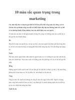 10 màu sắc quan trọng trong marketing 