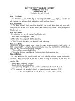 Đề thi thử Hóa vào 10 (09) lần 2