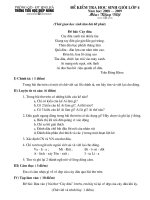 HSG Tiếng Việt 4