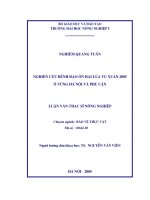 Nghiên cứu bệnh đạo ôn hại lúa vụ xuân 2005 ở vùng hà nội và phụ cận 