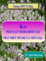 Bài 10 pháp luật với hòa bình và sự phát triển của nhân loại