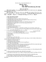 Đề kiểm tra vật lý 8 TH02