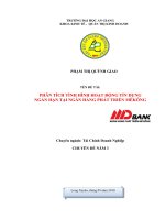 PHÂN TÍCH TÌNH HÌNH HOẠT ĐỘNG tín DỤNG NGẮN hạn tại NGÂN HÀNG PHÁT TRIỂN MÊKÔNG 