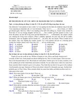 đề thi lifelines B