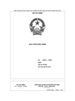 Mẫu giấy phép điều chỉnh