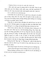 Cây thế việt nam nghệ thuật và đạo chơi part 3 