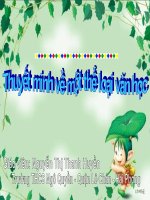 Thuyết minh về thể loại văn học