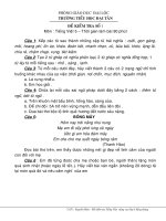 Đề thi học sinh giỏi TV lớp 5